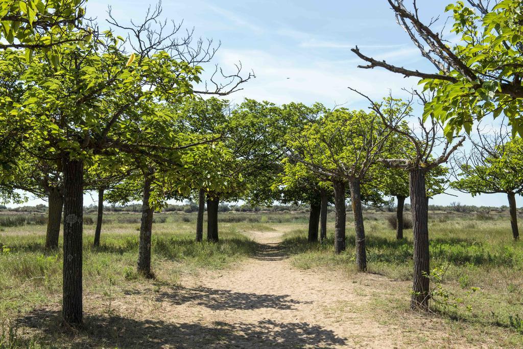 Domaine Les Muriers Vendres Luaran gambar