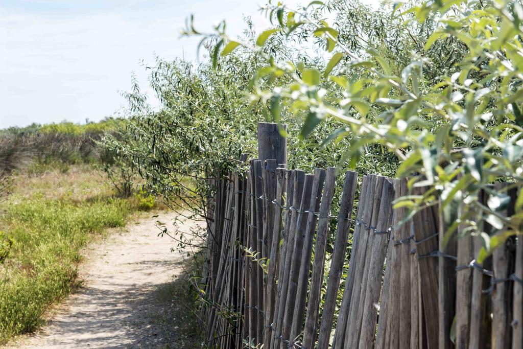 Domaine Les Muriers Vendres Luaran gambar